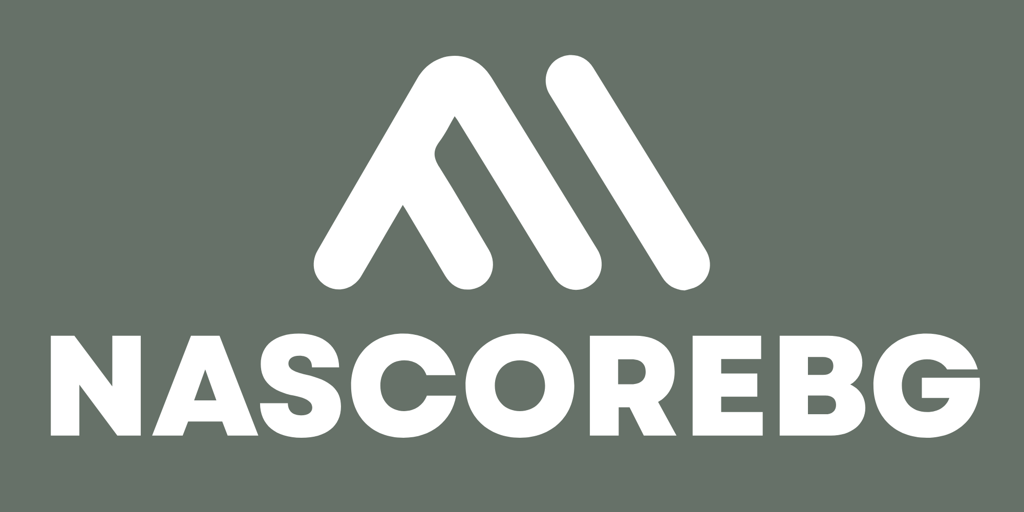 Nascorebg LTD